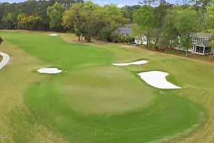 54 Osprey Cir, Okatie, SC 29909 - Photo 70