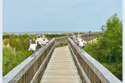 3 Cedar Reef #E102, Saint Helena Island, SC 29920 - Photo 30
