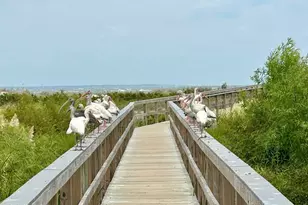 3 Cedar Reef, Saint Helena Island, SC 29920 - Photo 30