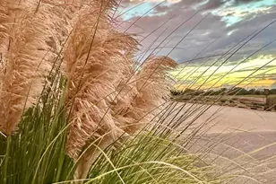 3 Cedar Reef, Saint Helena Island, SC 29920 - Photo 48