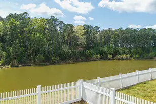 19 Freedom Trl, Bluffton, SC 29910 - Photo 18