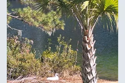 91 Front Street, Saint Helena Island, SC 29920 - Photo 56