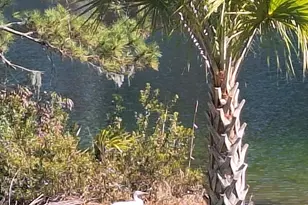 91 Front St, Saint Helena Island, SC 29920 - Photo 56