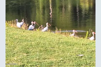 91 Front Street, Saint Helena Island, SC 29920 - Photo 58