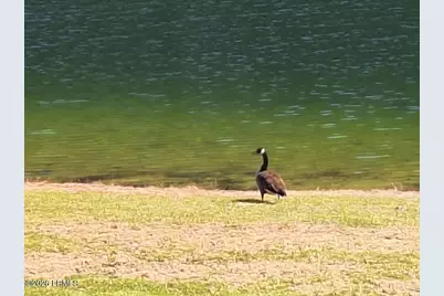 91 Front Street, Saint Helena Island, SC 29920 - Photo 60