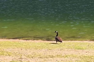 91 Front St, Saint Helena Island, SC 29920 - Photo 60