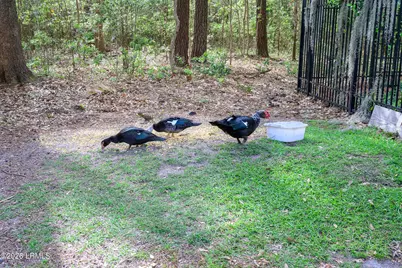 6 Peytons Way, Beaufort, SC 29907 - Photo 50