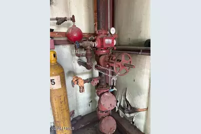 835 E Palmetto Avenue, Varnville, SC 29944 - Photo 4