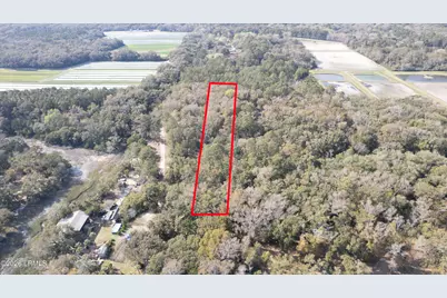 00 Molly Hill Road, Saint Helena Island, SC 29920 - Photo 4