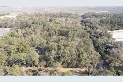 00 Molly Hill Road, Saint Helena Island, SC 29920 - Photo 6