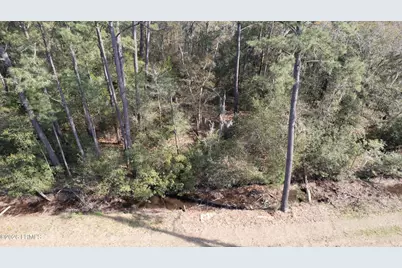 00 Molly Hill Road, Saint Helena Island, SC 29920 - Photo 12
