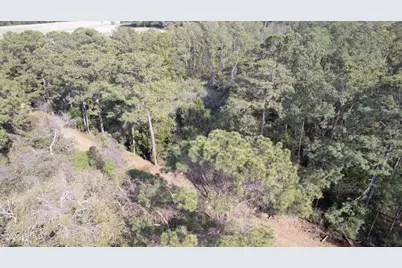 00 Molly Hill Road, Saint Helena Island, SC 29920 - Photo 16