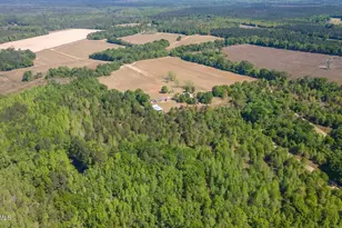 2672 Big Fork Rd, Barnwell, SC 29812 - Photo 40
