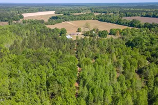 2672 Big Fork Rd, Barnwell, SC 29812 - Photo 38