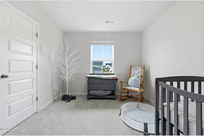 266 Tuscan Sun Street, Ridgeville, SC 29472 - Photo 16