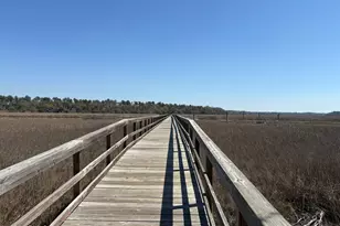 852 Settings Dr E, Yemassee, SC 29945 - Photo 60
