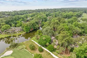 2 Woodbine Pl, Hilton Head Island, SC 29928 - Photo 48