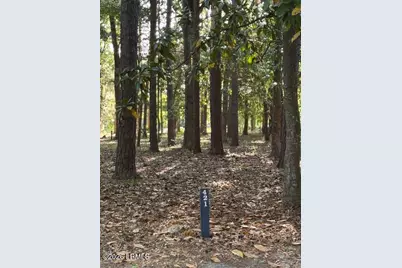 421 Battery Chase, Beaufort, SC 29902 - Photo 1