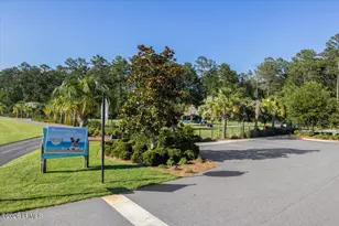 306 Caribbean Soul Ave, Hardeeville, SC 29927 - Photo 58