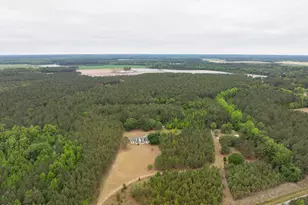 8313 Augusta Hwy, Fairfax, SC 29827 - Photo 56