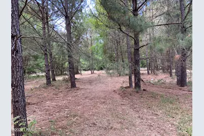 41 Pearl Harbor Lane, Saint Helena Island, SC 29920 - Photo 6