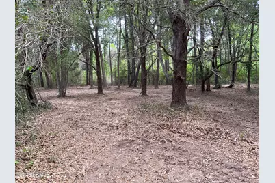 41 Pearl Harbor Lane, Saint Helena Island, SC 29920 - Photo 4