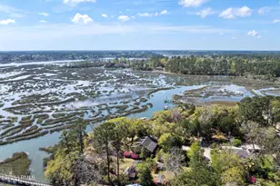 139 Cherry Point Rd, Okatie, SC 29909 - Photo 4