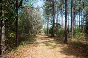 1342 Thomas Hamilton Rd, Brunson, SC 29911 - Photo 42
