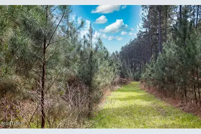 1342 Thomas Hamilton Road, Brunson, SC 29911 - Photo 44