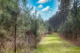 1342 Thomas Hamilton Rd, Brunson, SC 29911 - Photo 44