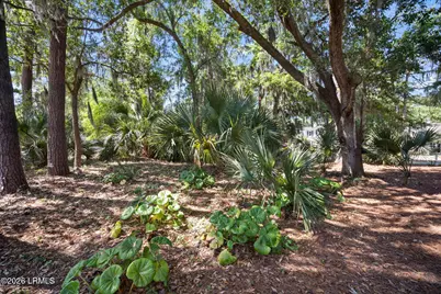 231 Locust Fence Road, Saint Helena Island, SC 29920 - Photo 54
