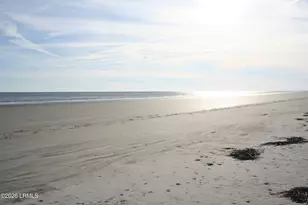 27 Sea Mist Ln, Ladys Island, SC 29920 - Photo 74