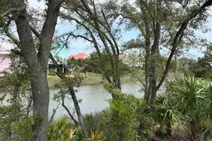 86 Harbour Key Dr, Harbor Island, SC 29920 - Photo 48