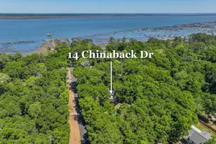 14 Chinaback Dr, Beaufort, SC 29907 - Photo 36