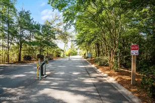 380 Dante Cir, Beaufort, SC 29906 - Photo 28