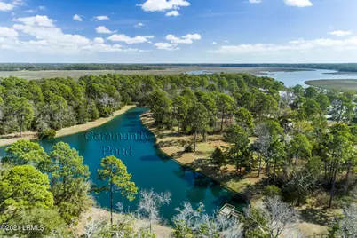 695 Distant Island Drive, Beaufort, SC 29907 - Photo 38
