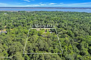 14 Mickey D Ln, Beaufort, SC 29907 - Photo 76