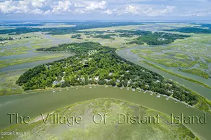 700 Distant Is Dr, Beaufort, SC 29907 - Photo 84
