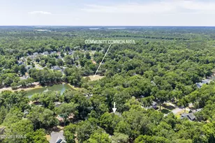 19 Laughing Gull Dr, Beaufort, SC 29907 - Photo 56