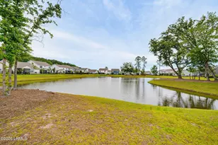 1184 Danner Dr, Okatie, SC 29909 - Photo 50