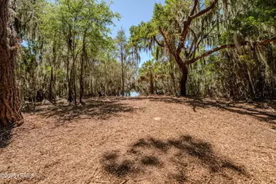 6087 Wallace Landing Retreat, Saint Helena Island, SC 29920 - Photo 4