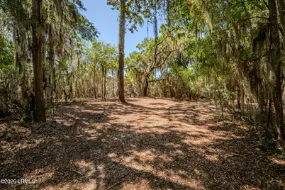 6087 Wallace Landing Retreat, Saint Helena Island, SC 29920 - Photo 8