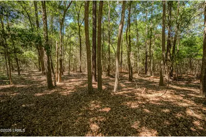6087 Wallace Landing Retreat, Saint Helena Island, SC 29920 - Photo 26