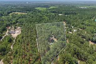 457 Ridgecut Rd, Early Branch, SC 29916 - Photo 2