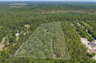 457 Ridgecut Rd, Early Branch, SC 29916 - Photo 58