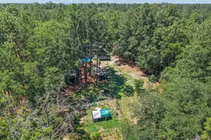 457 Ridgecut Rd, Early Branch, SC 29916 - Photo 56