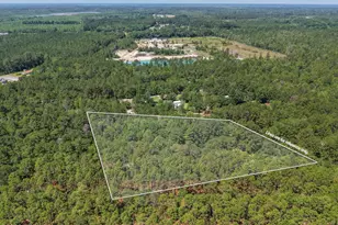 457 Ridgecut Rd, Early Branch, SC 29916 - Photo 4