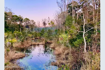 59 Hinson White Drive, Daufuskie Island, SC 29915 - Photo 26