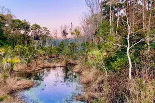 59 Hinson White Dr, Daufuskie Island, SC 29915 - Photo 26