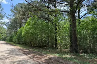 12 Rubie Ln, Yemassee, SC 29945 - Photo 1